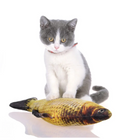 Fishplay Peixe Elétrico Recarregável para Gatos
